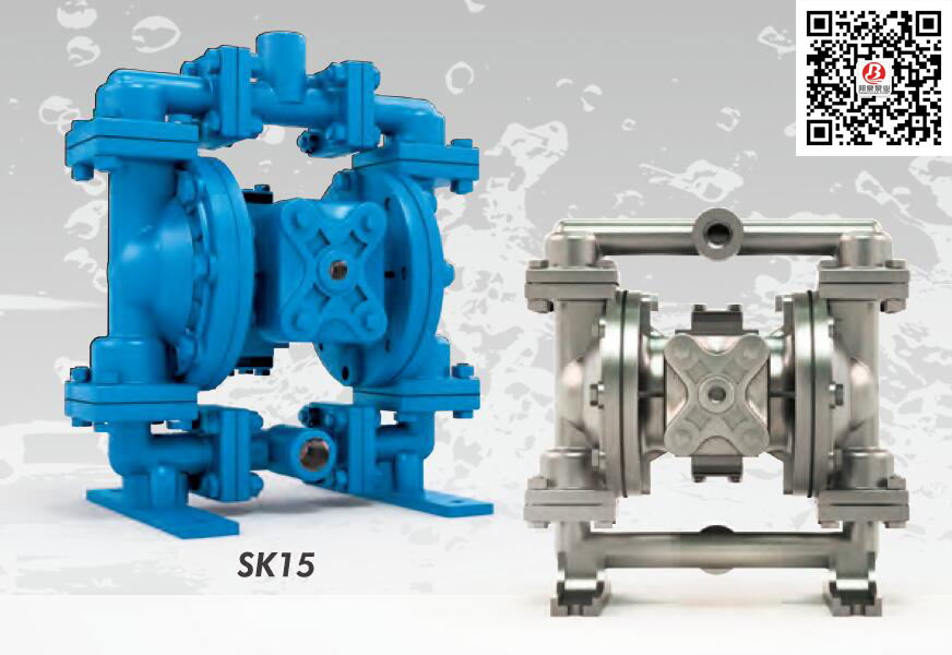 Skylink SK15/3AAA/EEPE/0B0 氣動(dòng)隔膜泵